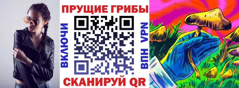 Псилоцибиновые грибы Psilocybe  ссылка на мегу рабочий сайт  Урус-Мартан  как найти закладки 