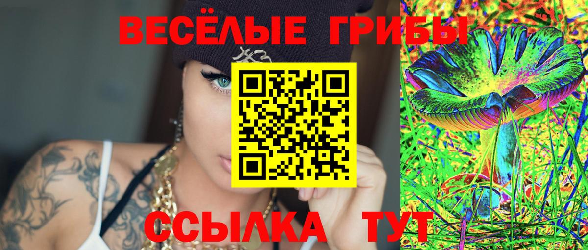 Псилоцибиновые грибы мухоморы  Урус-Мартан 